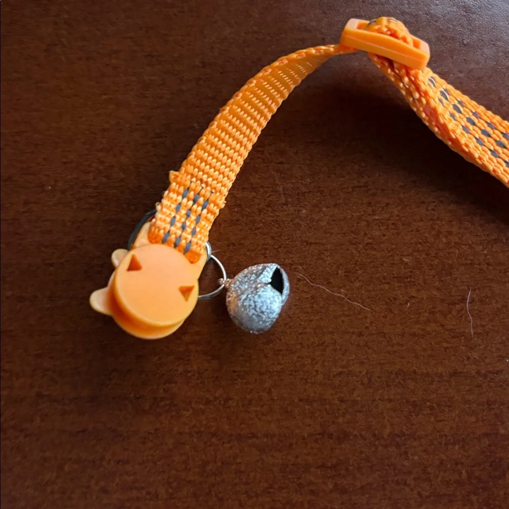 Orange Cat-Themed collar
